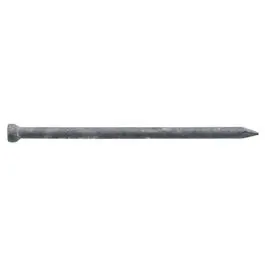 10D Hot-Dipped Galvanized Common Nails – 2.5-Inch, 1-Lb Box 1