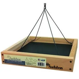 3-In-1 Platform Bird Feeder With 3-Pound Capacity 1