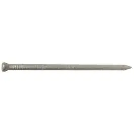 8D Hot-Dipped Galvanized Common Nails – 2.5" Length, 1 Lb 1