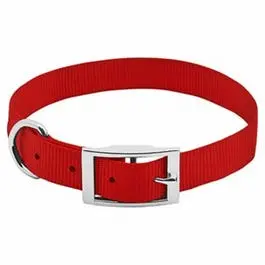 Adjustable Red Nylon Dog Collar – 1" Width, Fits 19–22" Neck Circumference 1