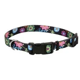Adjustable Wildflower-Print Dog Collar – 1" Width, Nylon, Fits 18–26" Necks 1