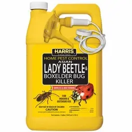 Asian Lady Beetle And Box Elder Bug Control Spray – 1-Gallon Concentrate 1