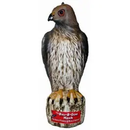 Bird-B-Gone Decoy Hawk: Lifelike Scarecrow Predator For Natural Bird Deterrence 1