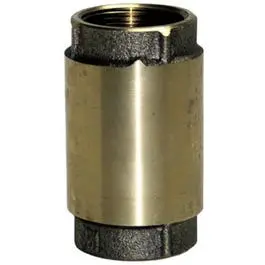 Brass 1" Check Valve – Threaded, Non-Return Flow Control 1