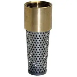 Brass 1" Foot Valve With Strainer 1