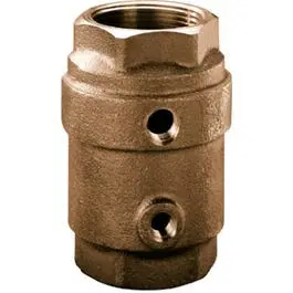 Brass Control Center Check Valve – 1-Inch Threaded Fitting 1