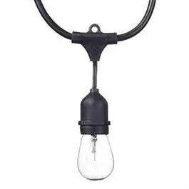 Dublin Incandescent Holiday String Lights – 12-Light, 24-Foot Warm White 1