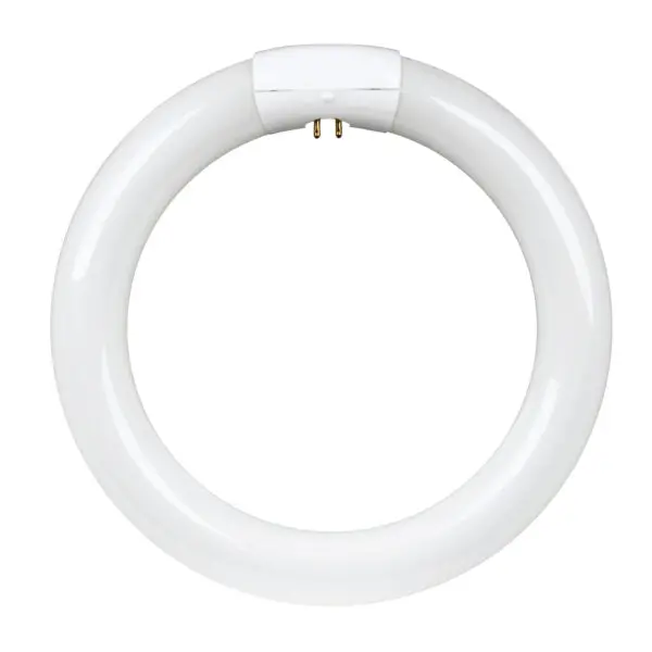 Feit Electric 22-Watt Cool White Circular Fluorescent Lamp 1