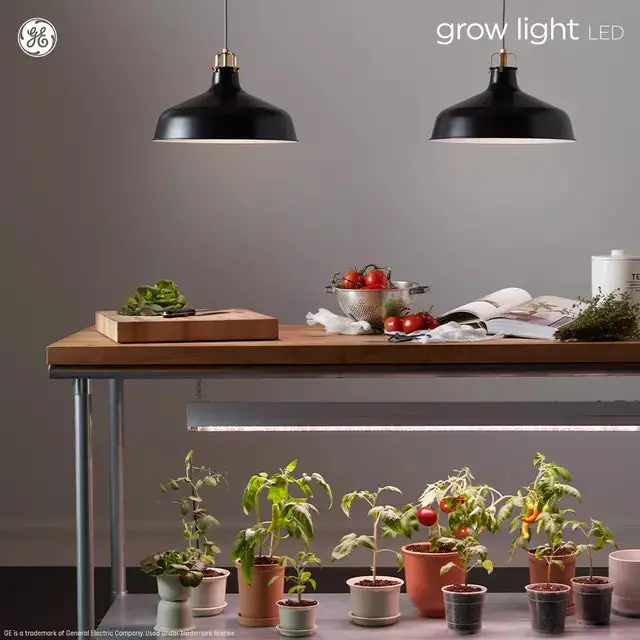 Ge A19 Grow Light Bulb – 9W Full-Spectrum Led For Fruiting & Flowering Plants 1