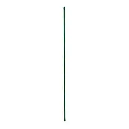 Heavy-Duty 6-Foot Plastic-Coated Steel Plant Stake 1