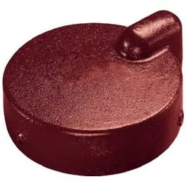 Heavy-Duty Cast Iron Well Cap — 6-Inch Diameter 1