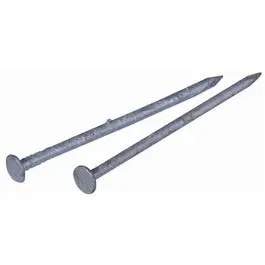 Hot-Dip Galvanized Common Nails – 3.5", 16D, 5 Lb Bulk Pack 1