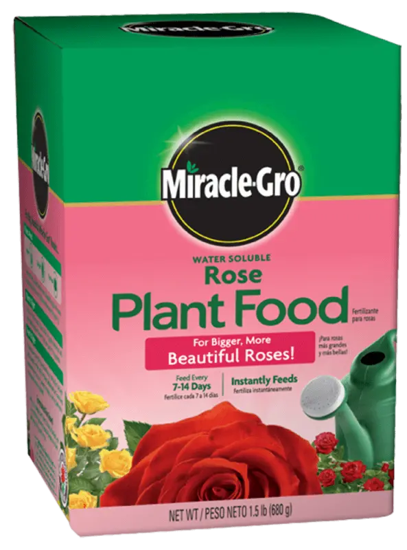 Miracle-Gro Rose Plant Food – Water-Soluble Fertilizer For Blooms 1