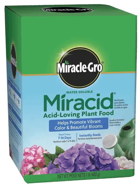 Miracle-Gro Water Soluble Miracid Plant Food – Fast-Acting Formula For Azaleas, Rhododendrons & Hydrangeas 1