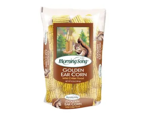 Morning Song Golden Ear Corn Wildlife Feed For Squirrels And Small Animals 1