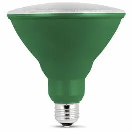 Par38 Led Light Bulb – Energy-Efficient Green 8-Watt Replacement 1