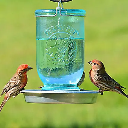 Perky-Pet Mason Jar-Style Wild Bird Waterer – 32 Oz Capacity 1