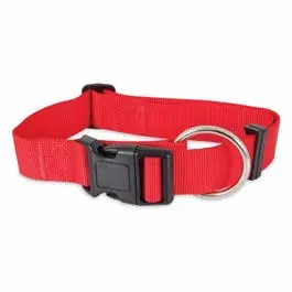 Red Nylon Dog Collar – 24-Inch, Double-Ply Adjustable Pet Neckband 1