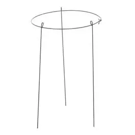 Single-Ring Peony Plant Support – Green Steel Frame, 14-Inch Diameter 1