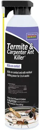 Termite And Carpenter Ant Killer Spray – 15-Ounce Indoor/Outdoor Formula 1