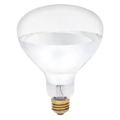Westinghouse 250-Watt R40 Clear Incandescent Bulb 1